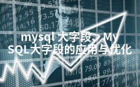 mysql 大字段、MySQL大字段的应用与优化
