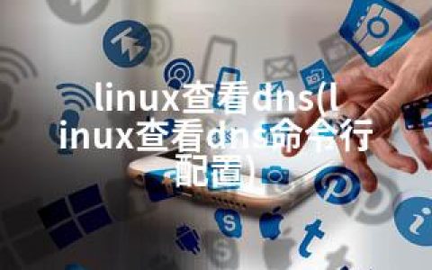 linux查看dns(linux查看dns命令行配置)