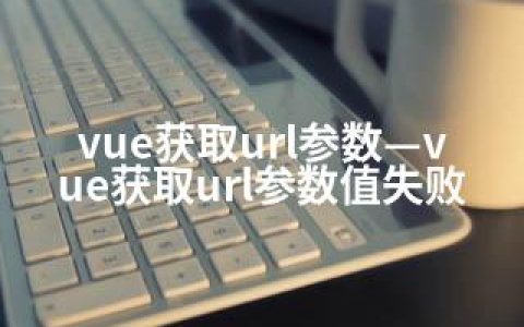 vue获取url参数—vue获取url参数值失败