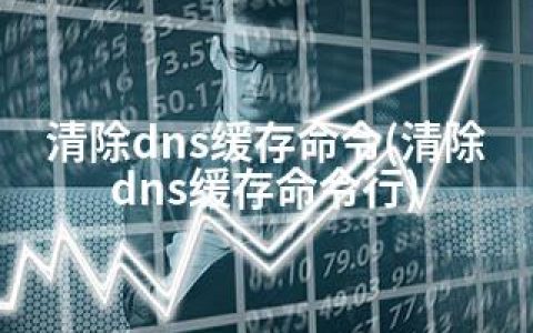 清除dns缓存命令(清除dns缓存命令行)