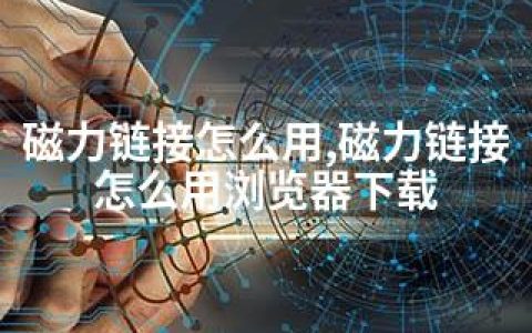 磁力链接怎么用,磁力链接怎么用浏览器下载