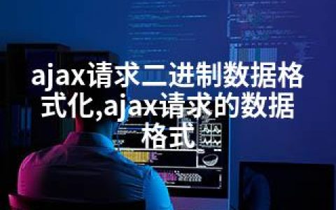 ajax请求二进制数据格式化,ajax请求的数据格式