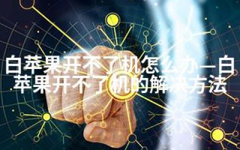 白苹果开不了机怎么办—白苹果开不了机的解决方法