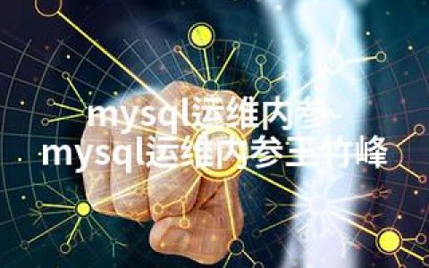 mysql运维内参-mysql运维内参王竹峰