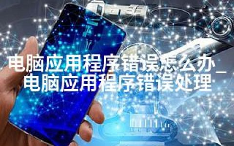 电脑应用程序错误怎么办_电脑应用程序错误处理