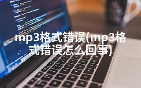 mp3格式错误(mp3格式错误怎么回事)