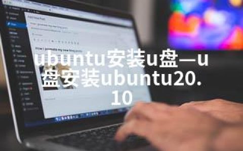 ubuntu安装u盘—u盘安装ubuntu20.10