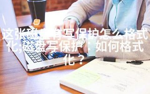 这张磁盘有写保护怎么格式化;磁盘写保护：如何格式化？
