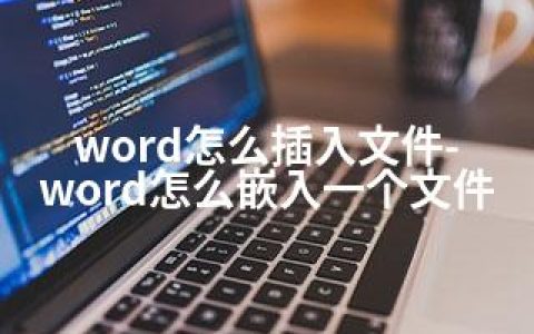 word怎么插入文件-word怎么嵌入一个文件