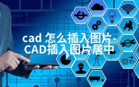 cad 怎么插入图片-CAD插入图片居中