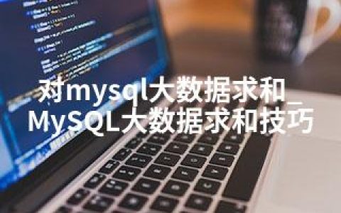 对mysql大数据求和_MySQL大数据求和技巧