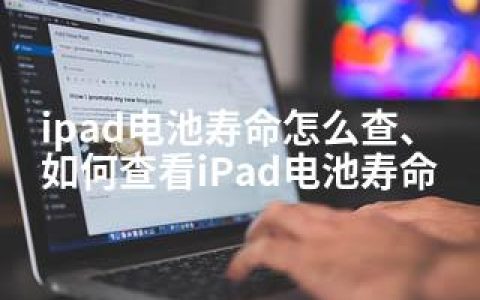 ipad电池寿命怎么查、如何查看iPad电池寿命