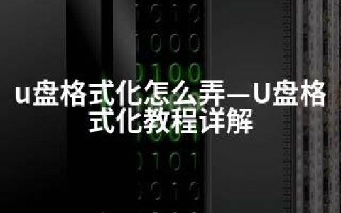 u盘格式化怎么弄—U盘格式化教程详解