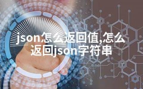 json怎么返回值,怎么返回json字符串