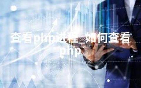 查看php进程_如何查看php