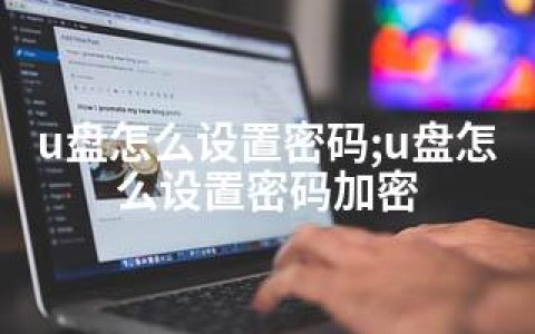 u盘怎么设置密码;u盘怎么设置密码加密