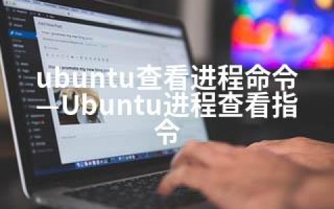 ubuntu查看进程命令—Ubuntu进程查看指令