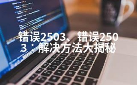 错误2503、错误2503：解决方法大揭秘