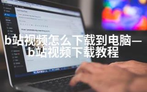 b站视频怎么下载到电脑—b站视频下载教程