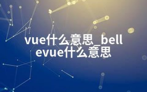 vue什么意思_bellevue什么意思