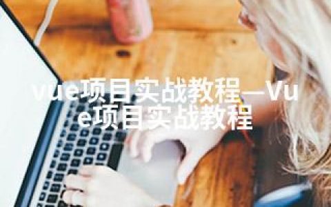 vue项目实战教程—Vue项目实战教程