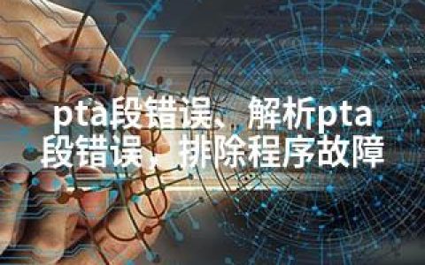 pta段错误、解析pta段错误，排除程序故障