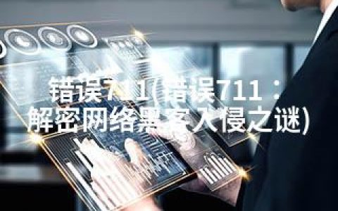 错误711(错误711：解密网络黑客入侵之谜)