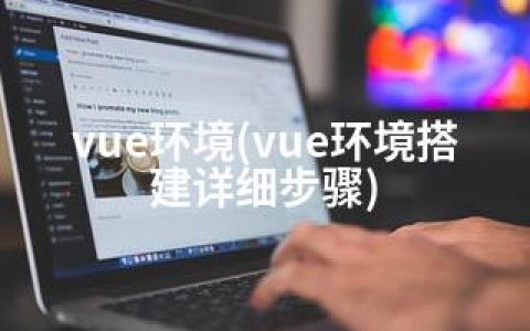 vue环境(vue环境搭建详细步骤)