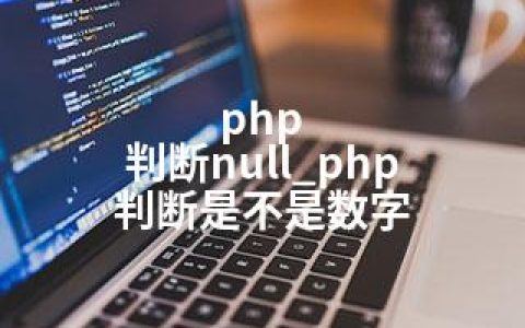 php 判断null_php 判断是不是数字