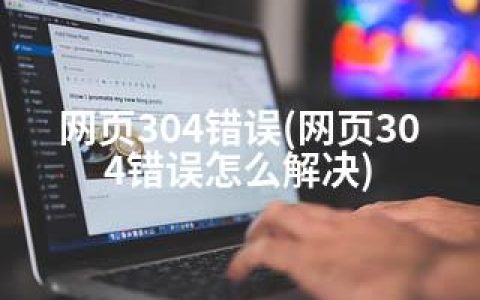 网页304错误(网页304错误怎么解决)