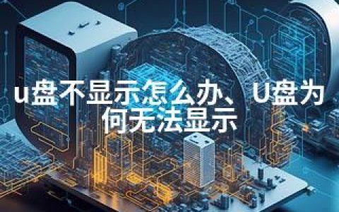u盘不显示怎么办、U盘为何无法显示
