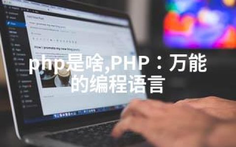 php是啥,PHP：的编程语言