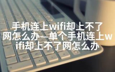 手机连上wifi却上不了网怎么办—单个手机连上wifi却上不了网怎么办