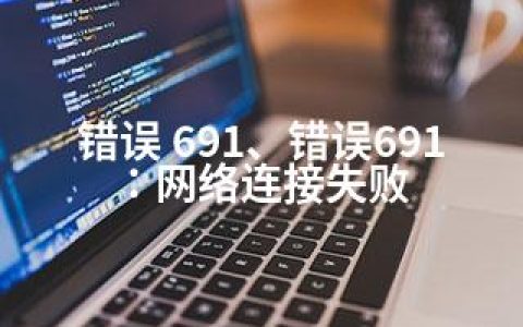 错误 691、错误691：网络连接失败