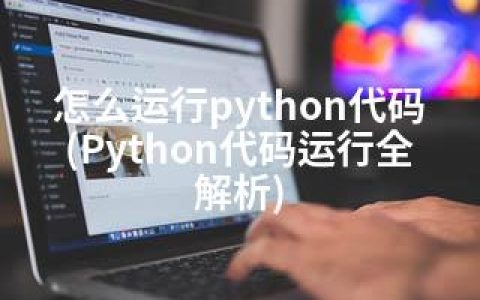 怎么运行python代码(Python代码运行全解析)