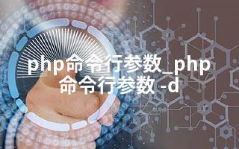 php命令行参数_php命令行参数 -d