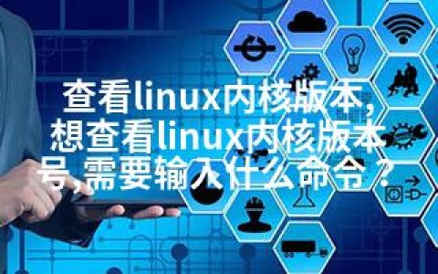 查看linux内核版本,想查看linux内核版本号,需要输入什么命令？