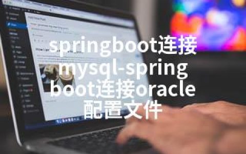 springboot连接mysql-springboot连接oracle配置文件