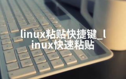 linux粘贴快捷键_linux快速粘贴