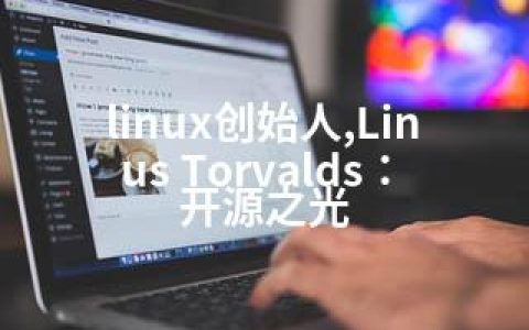 linux创始人,Linus Torvalds：开源之光