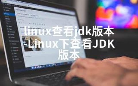 linux查看jdk版本-Linux下查看JDK版本