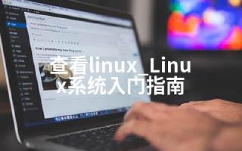 查看linux_Linux系统入门指南