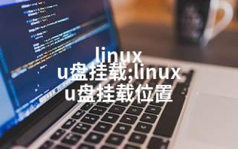 linux u盘挂载;linux u盘挂载位置