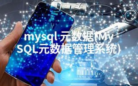 mysql 元数据(MySQL元数据管理系统)