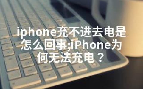 iphone充不进去电是怎么回事;iPhone为何无法充电？