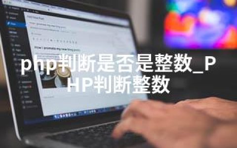 php判断是否是整数_PHP判断整数