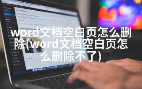 word文档空白页怎么删除(word文档空白页怎么删除不了)