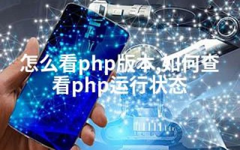 怎么看php版本,如何查看php运行状态