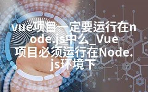 vue项目一定要运行在node.js中么_Vue项目必须运行在Node.js环境下