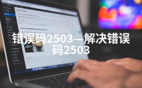 错误码2503—解决错误码2503